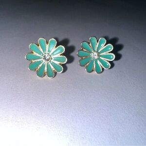 Francesca’s Earrings